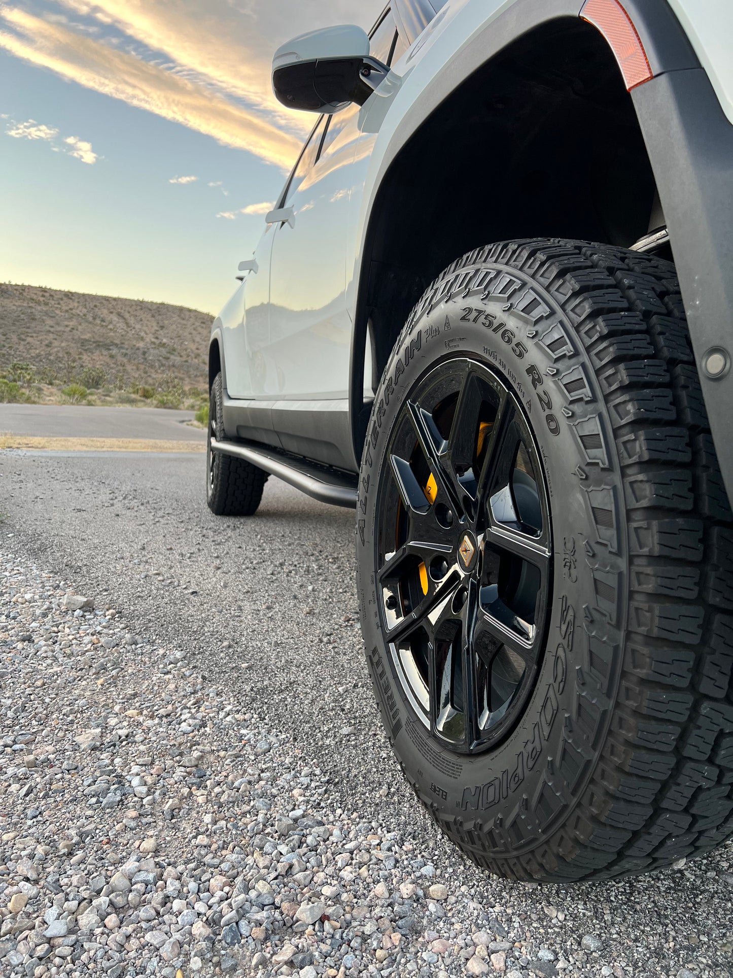 Megawatt™ Performance Rock Sliders with Step for Gen 2 R1S